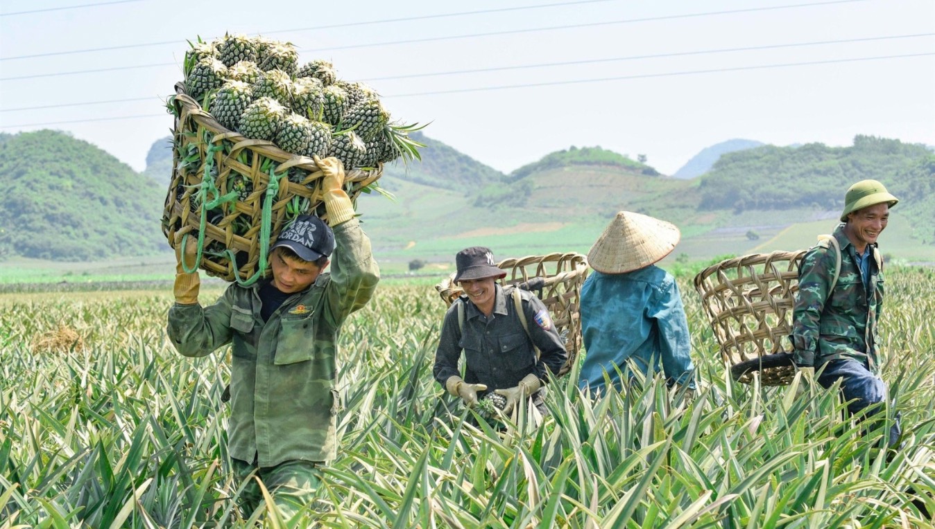 Nhà máy GMP Asia Life tự chủ vùng nguyên liệu