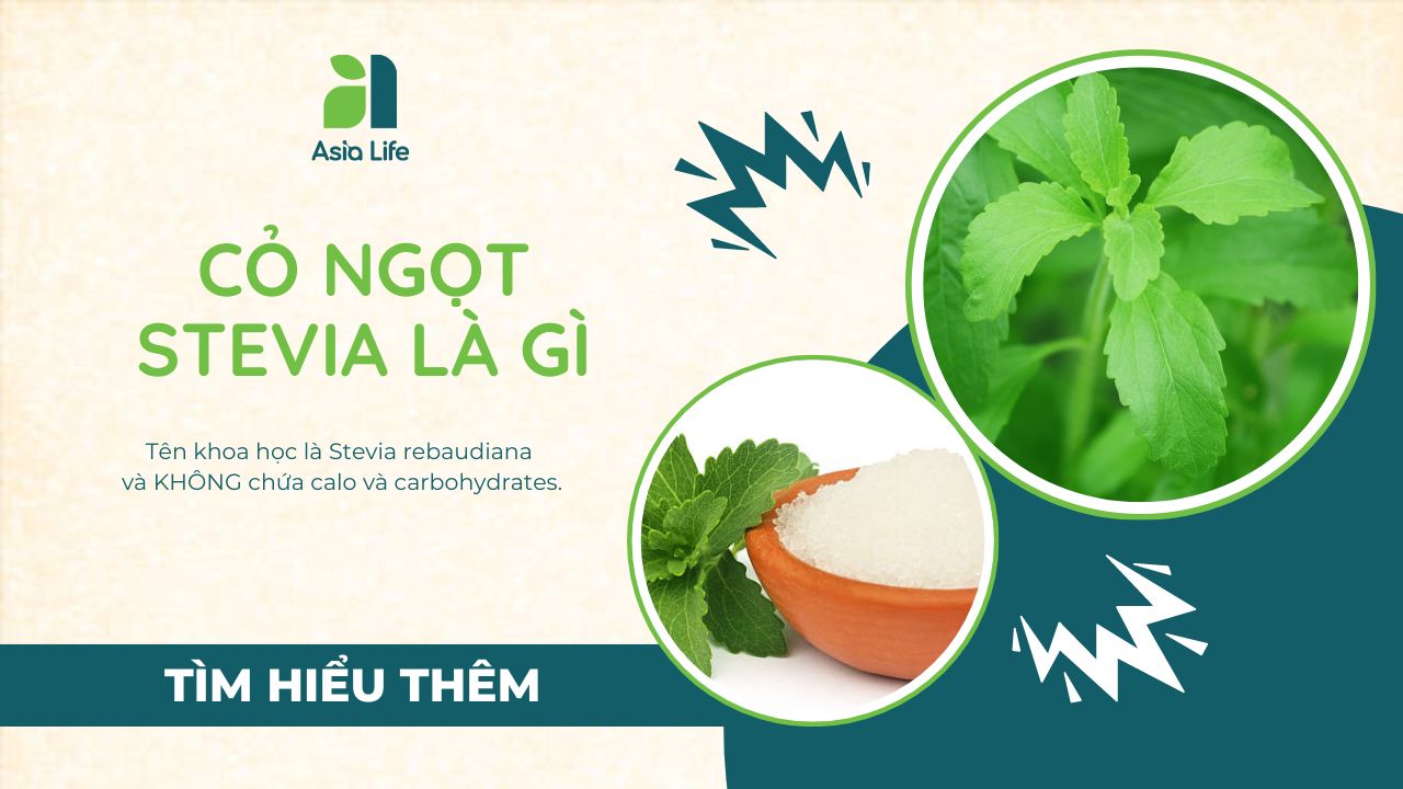 Đường cỏ ngọt Stevia là gì?