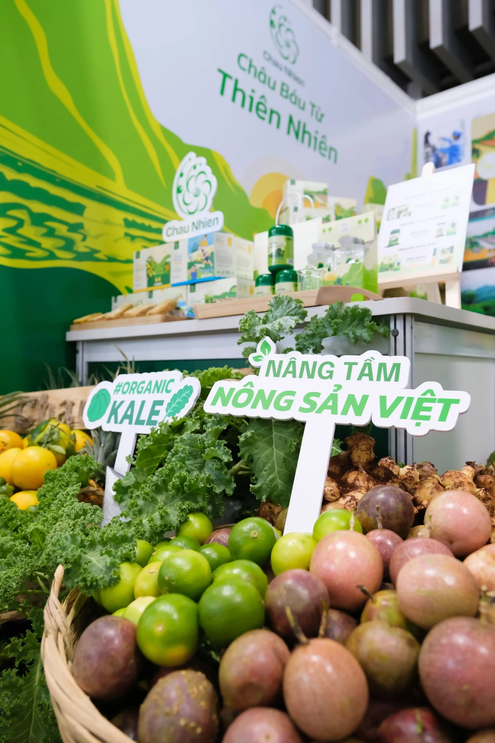 Nâng tầm nông sản Việt - organic kale