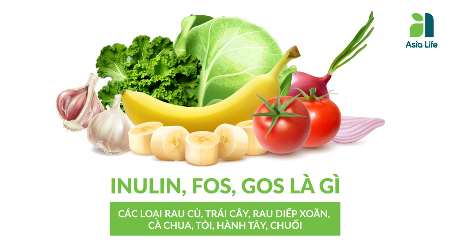                                                                             INULIN, FOS, GOS là gì?